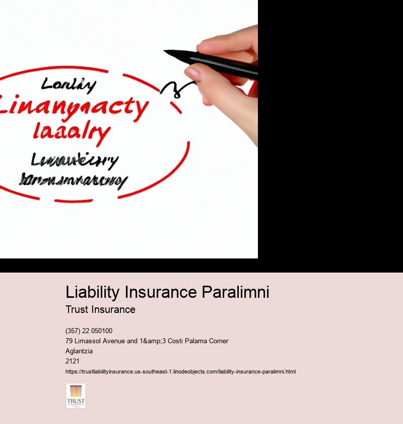 Liability Insurance Cyprus